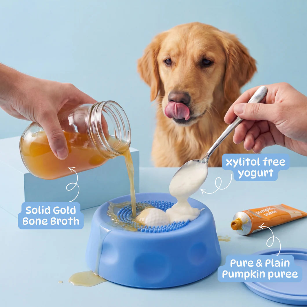 The Pup Calm Bowl