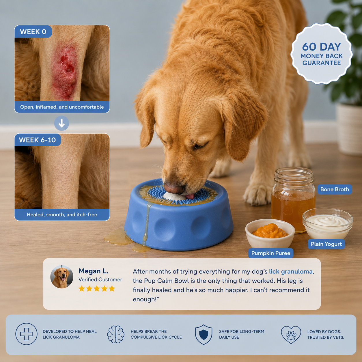 The Pup Calm Bowl