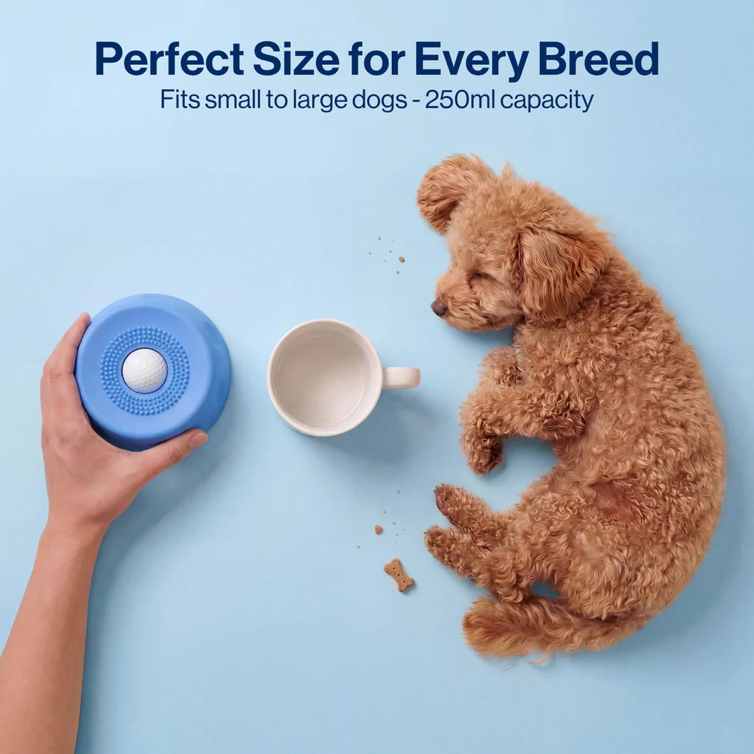The Pup Calm Bowl